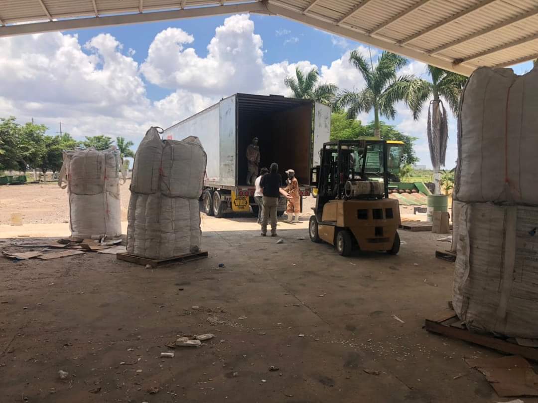 Recolección de envases de agroquímicos.