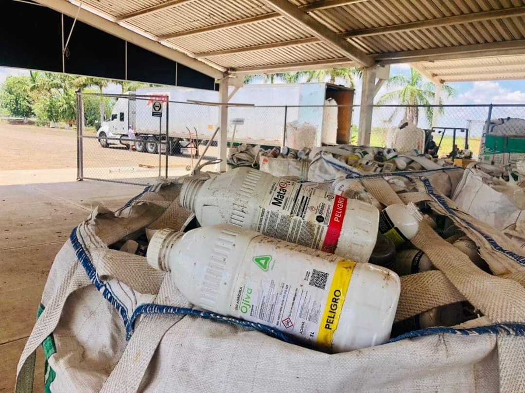 Recolección de envases de agroquímicos.