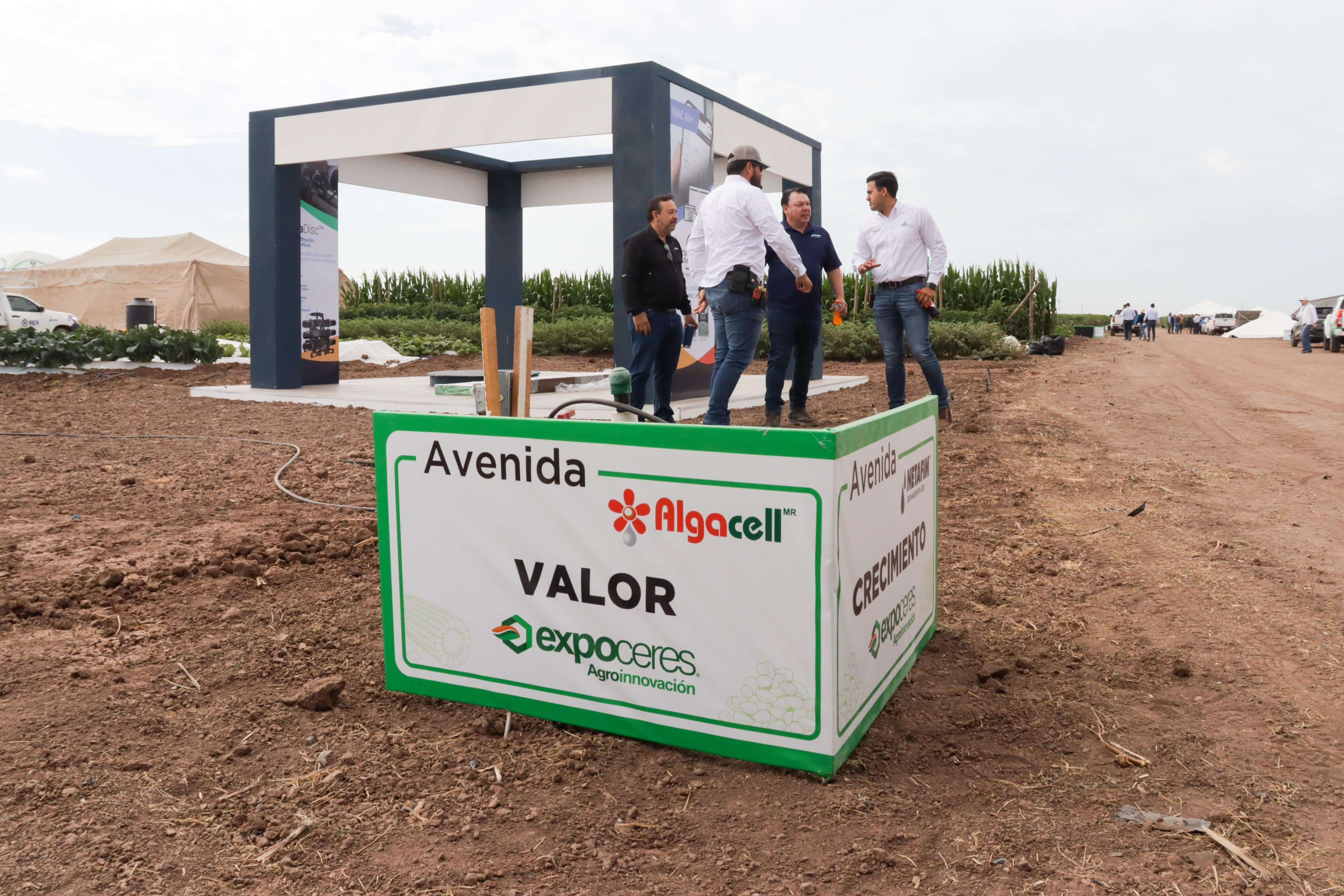 Área de demostración de campo