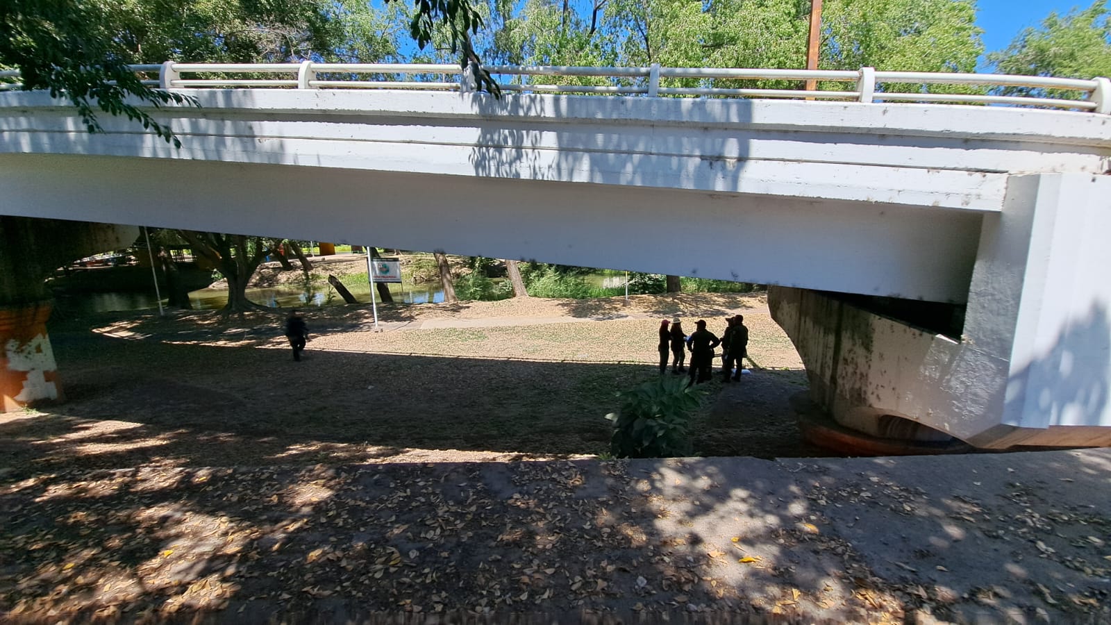 Puente Juan de Dios Bátiz