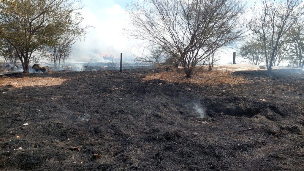 Incendio de maleza en un terreno