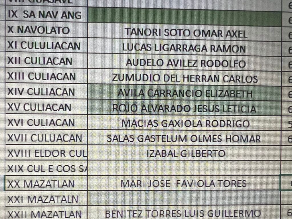 listado de ciudadanos nombrados como “coordinadores de afiliación del municipio de Culiacán”