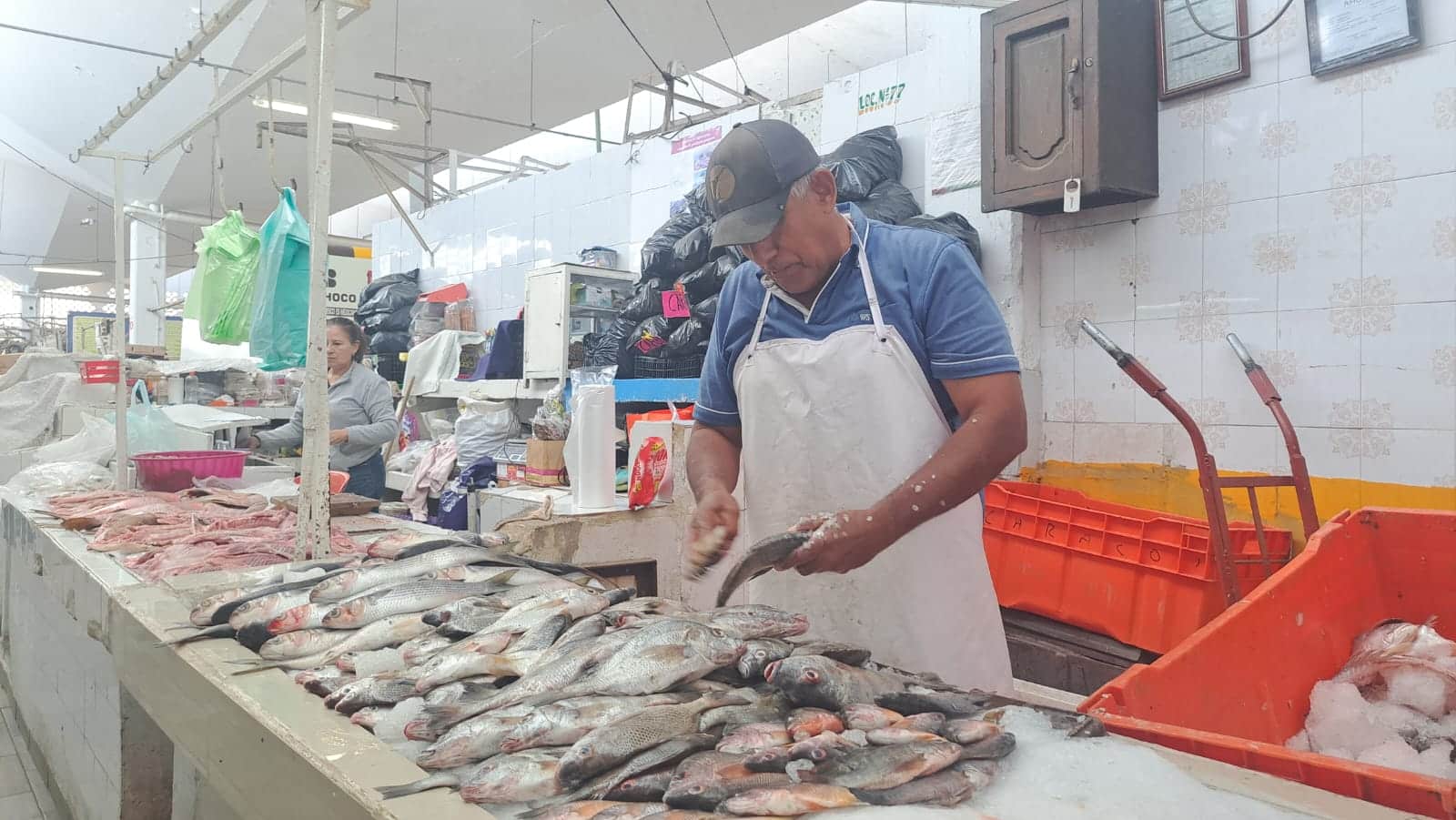 Señor atendiendo puesto de pescados y mariscos