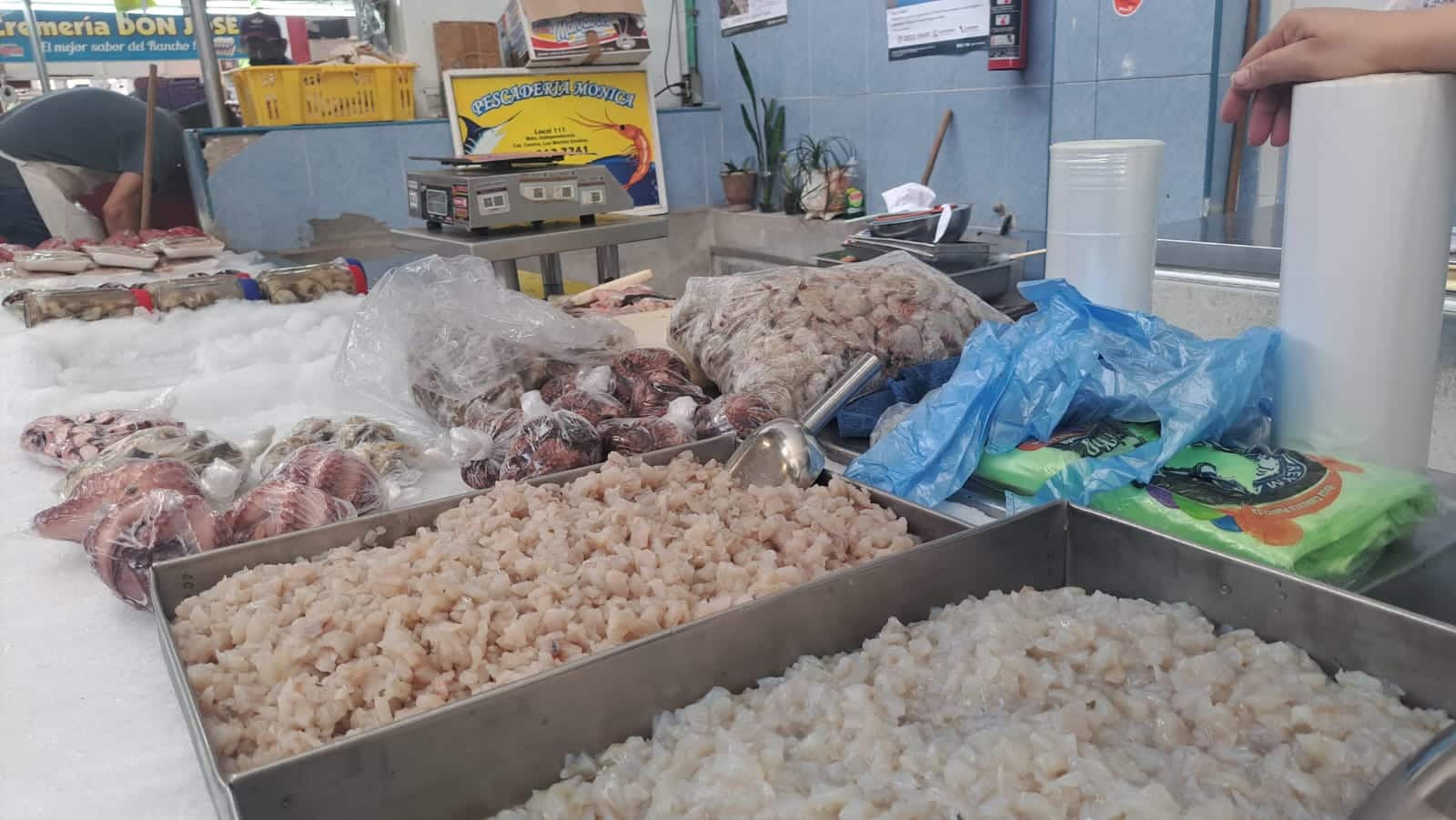 Puesto de pescados y mariscos