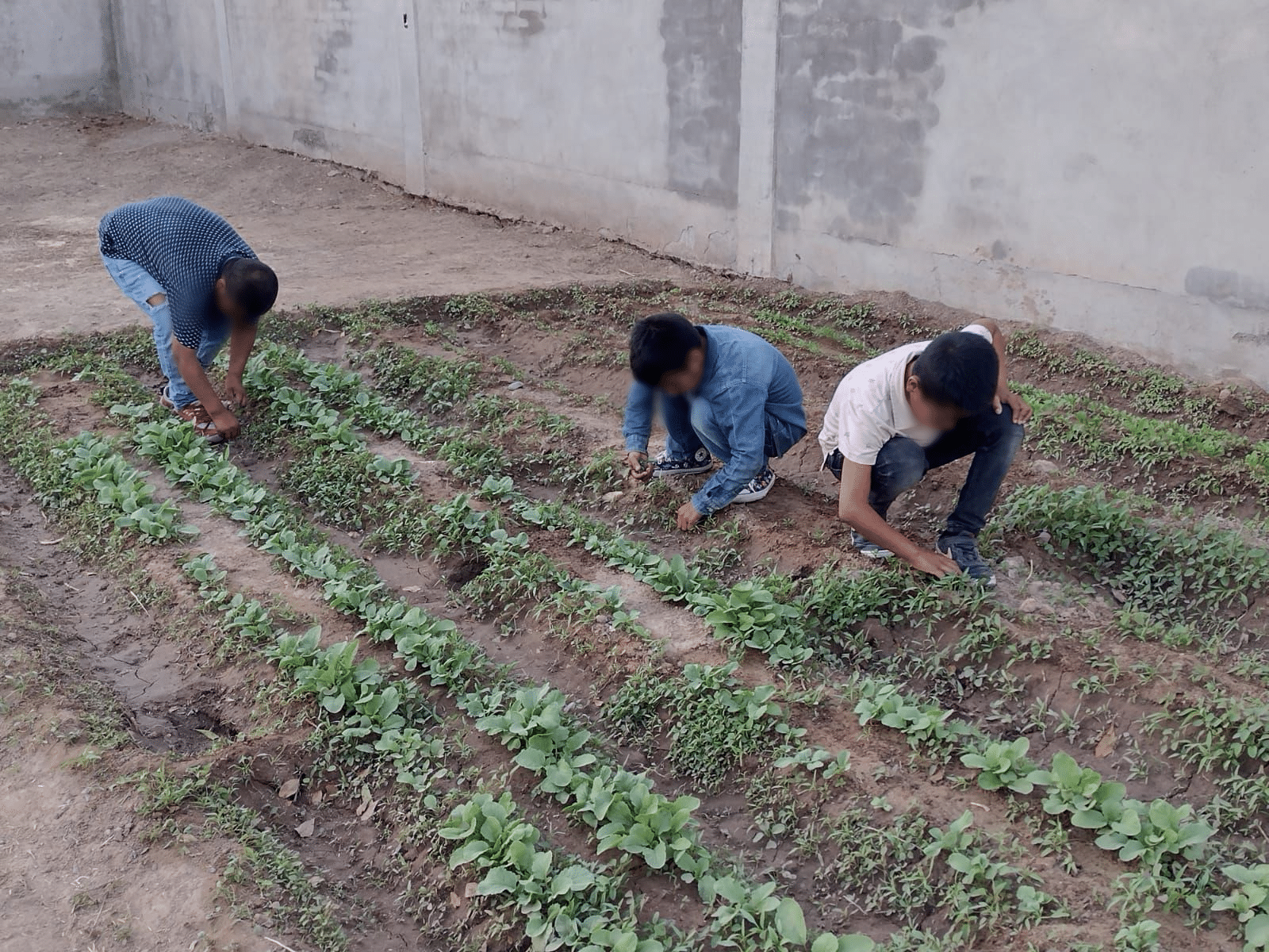 Hijos de jornaleros en el Centro de Atención Integral (CAI) instalada en Ruiz Cortines./ Foto: Alma Camacho