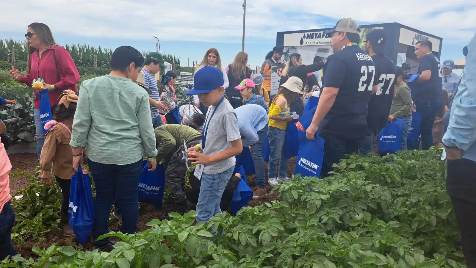 Niños y adultos participan en cosecha de Expoceres