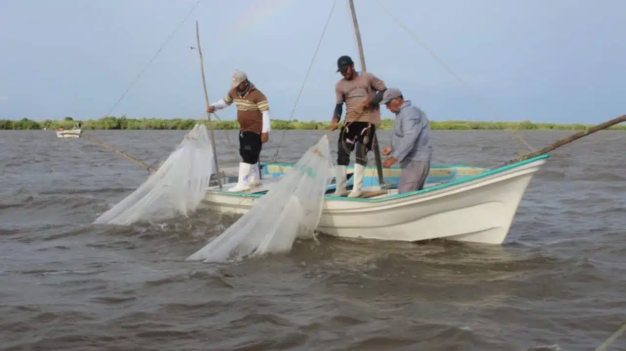 Pescadores en captura de camarón