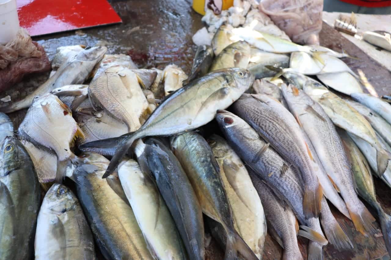 Pescados