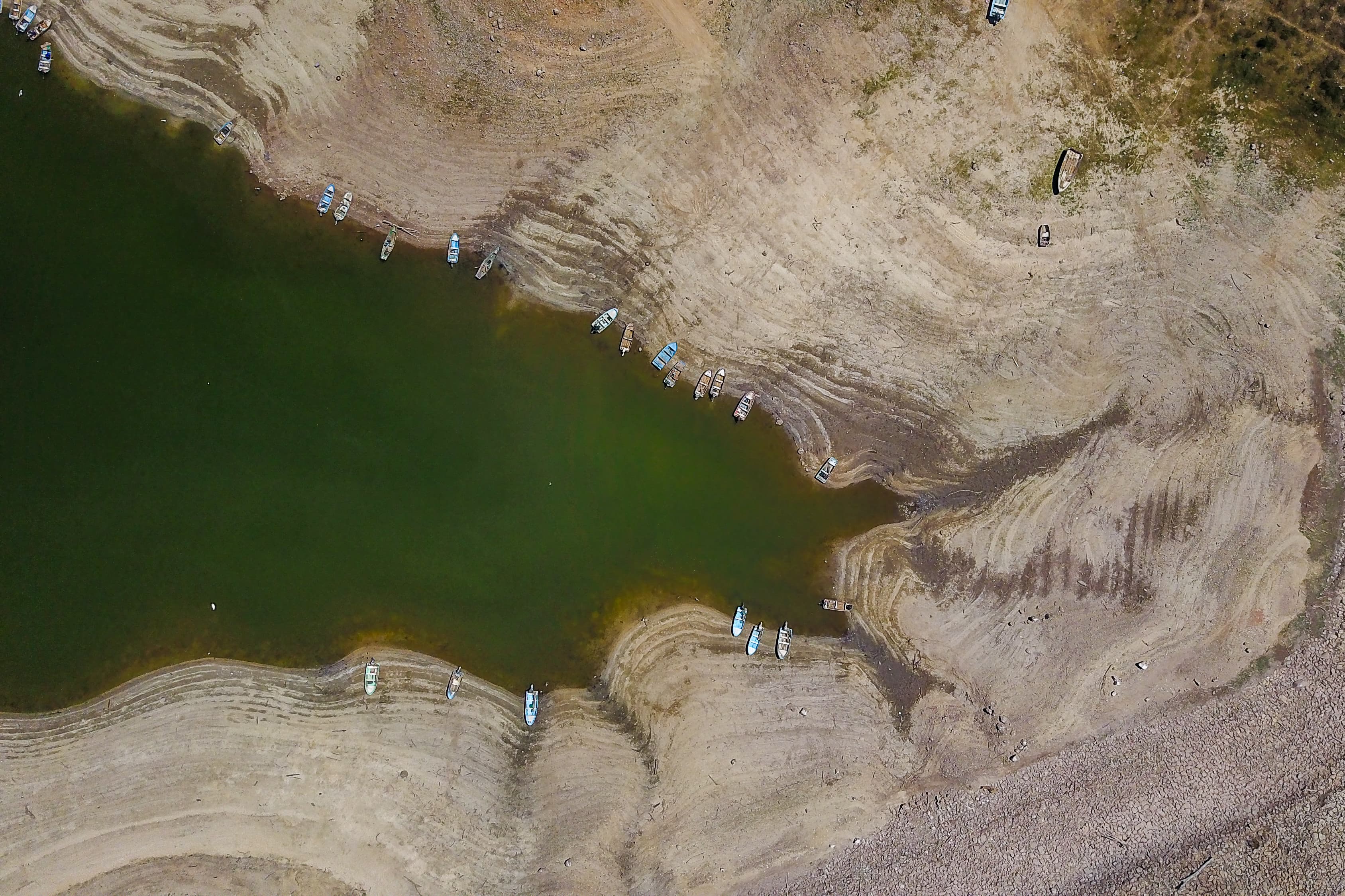 Presa Sanalona