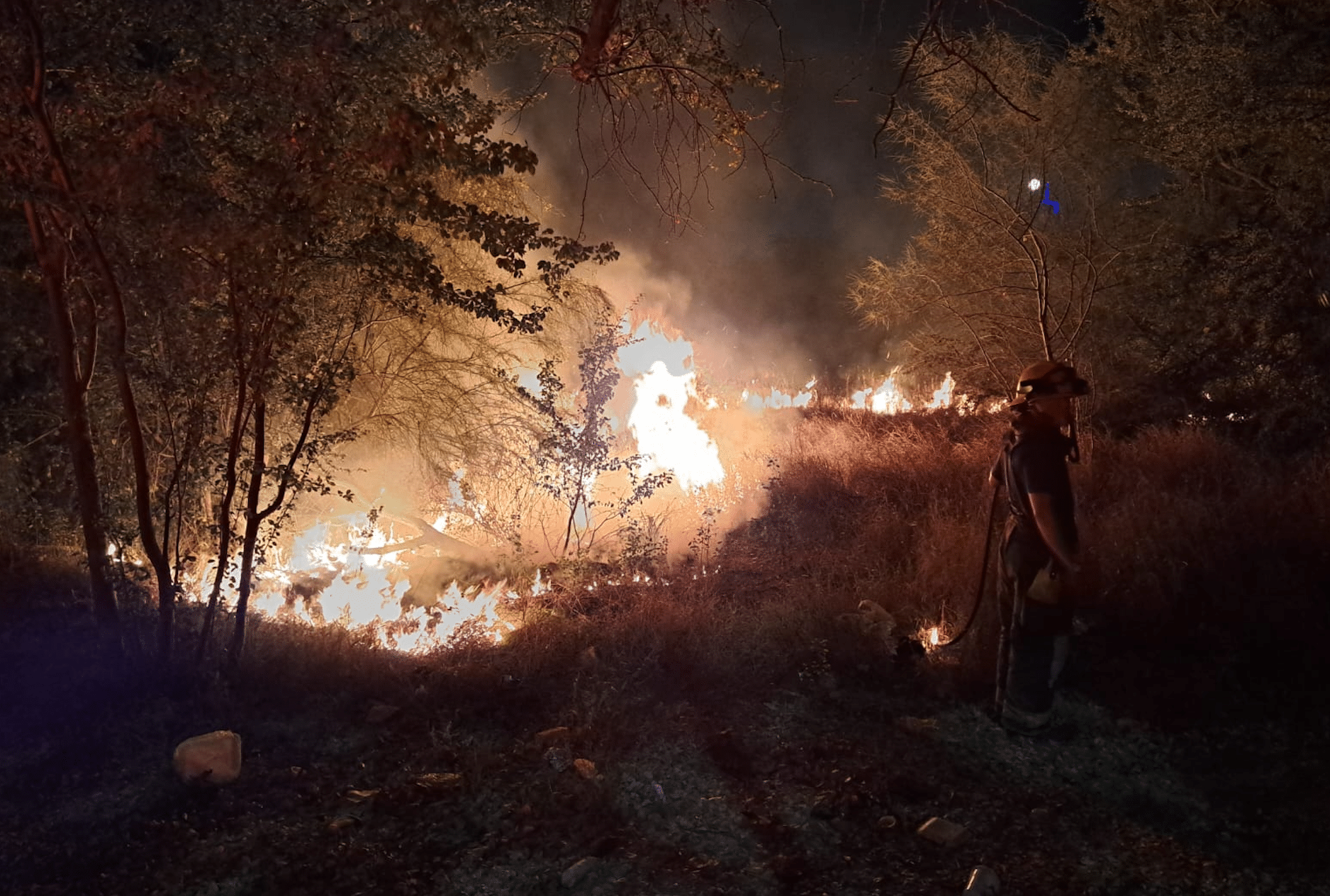 Incendio en la maleza en el sector Tres Ríos