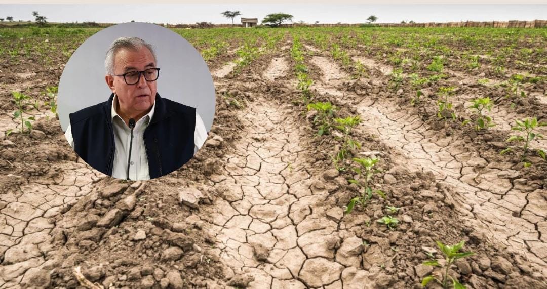 Gobernador de Sinaloa, Rubén Rocha moya