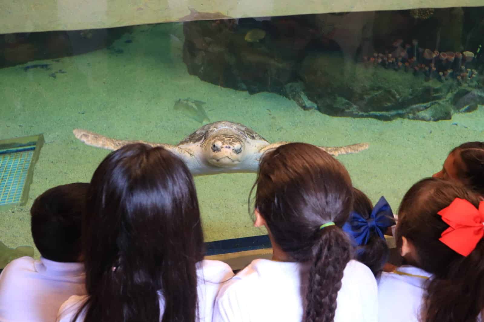 Visitantes al Gran Acuario Mar de Cortés