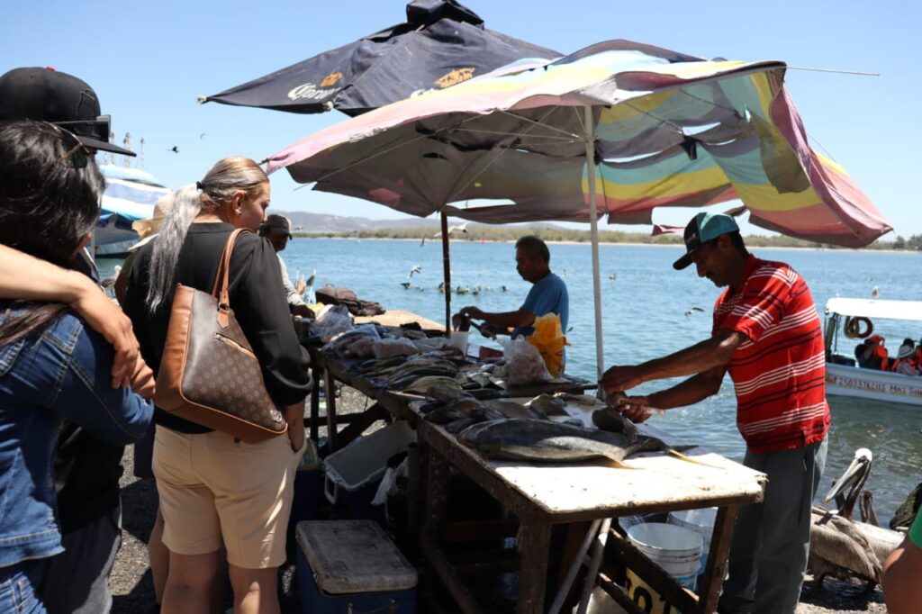 Venta de pescados Frescos en Mazatlán.