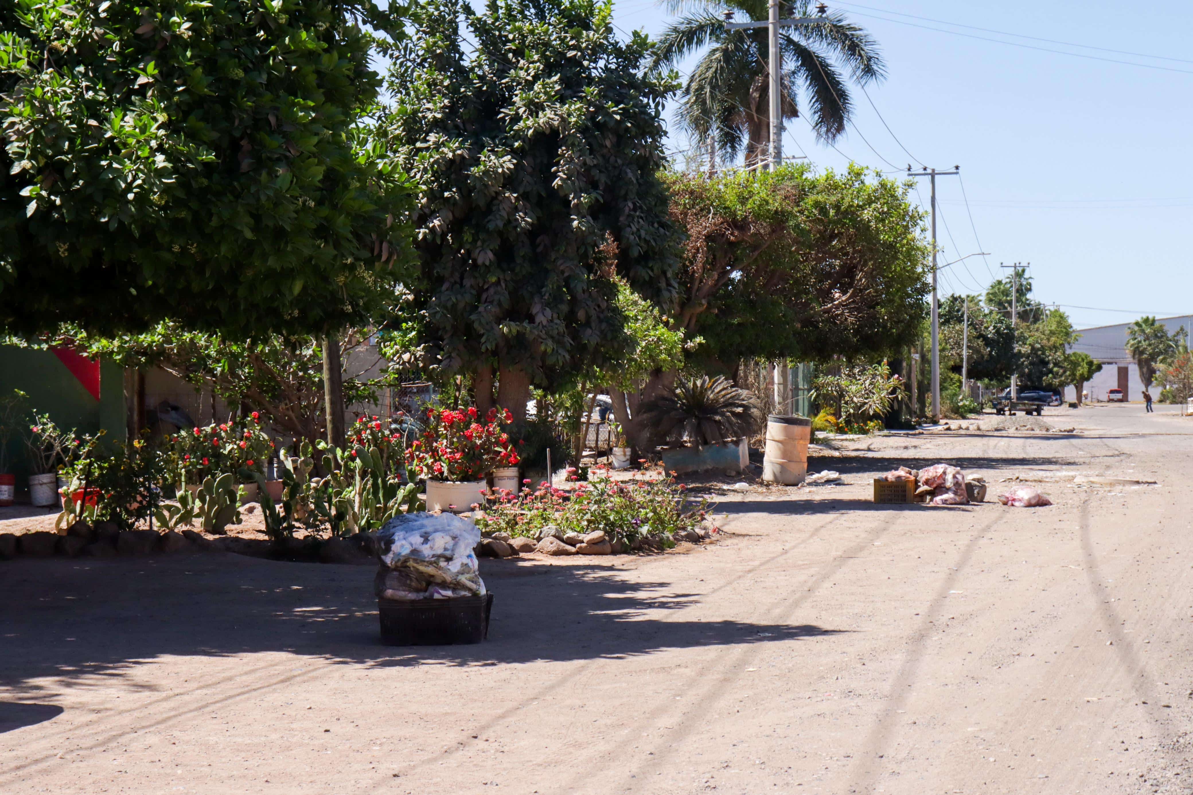 Basura acumulada tras retraso de recolección en sectores de Los Mochis