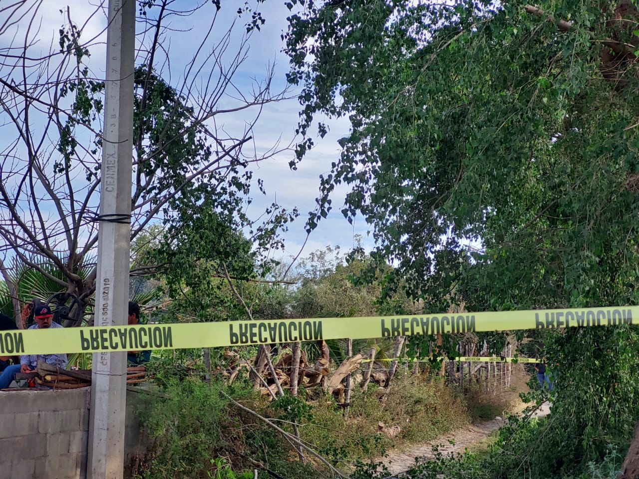 Lugar donde Fernando falleció tras sufrir una descarga eléctrica y caerse de un árbol en Eldorado, Culiacán