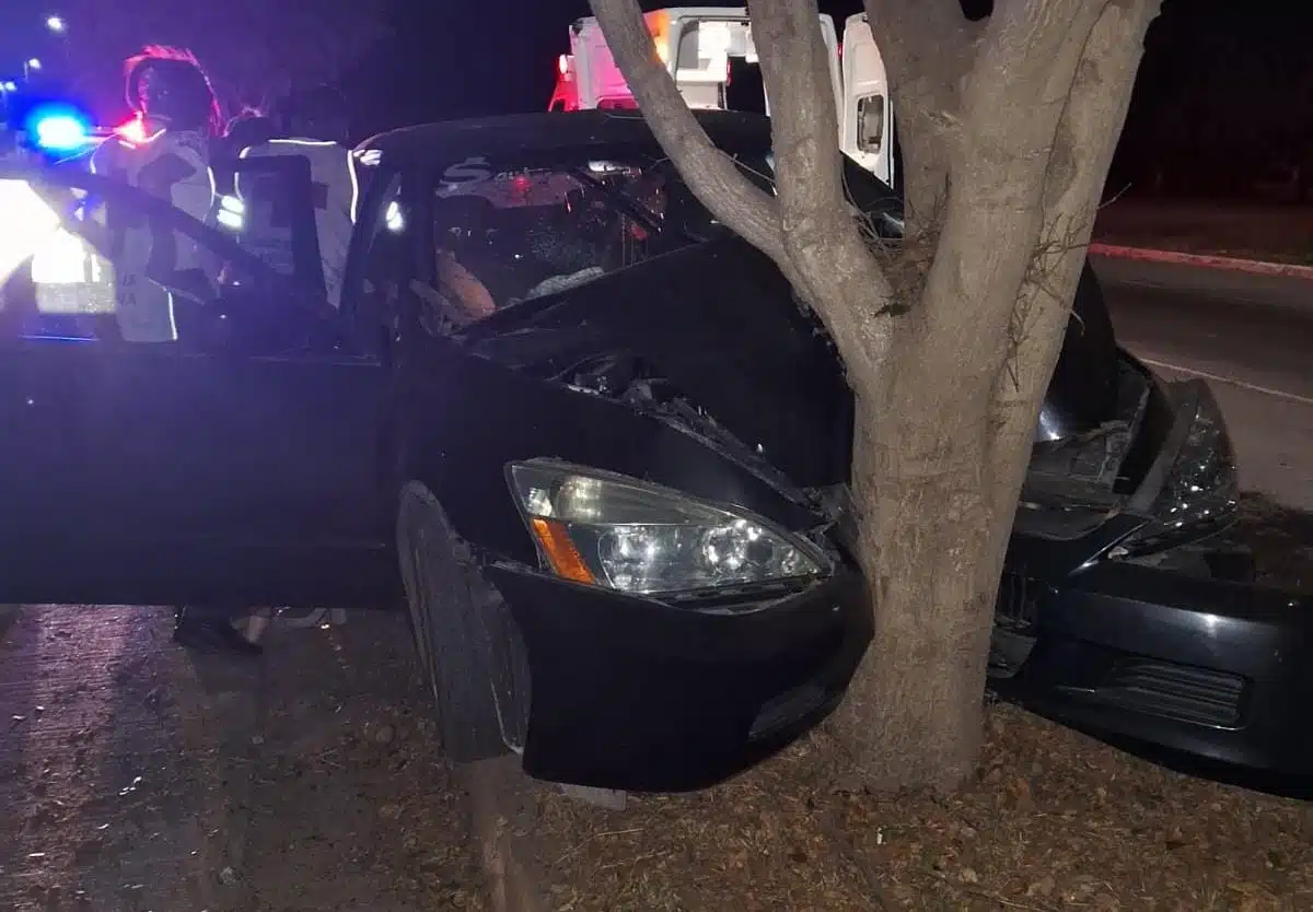 Carro impactado con árbol en accidente 