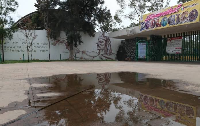 Aseguran 60 animales de un zoológico del Estado de México
