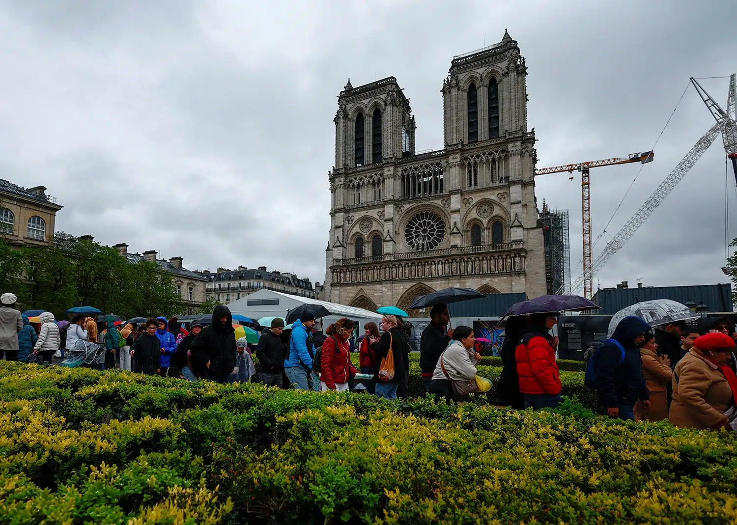 Turistas en el Catedral de Notre Dame