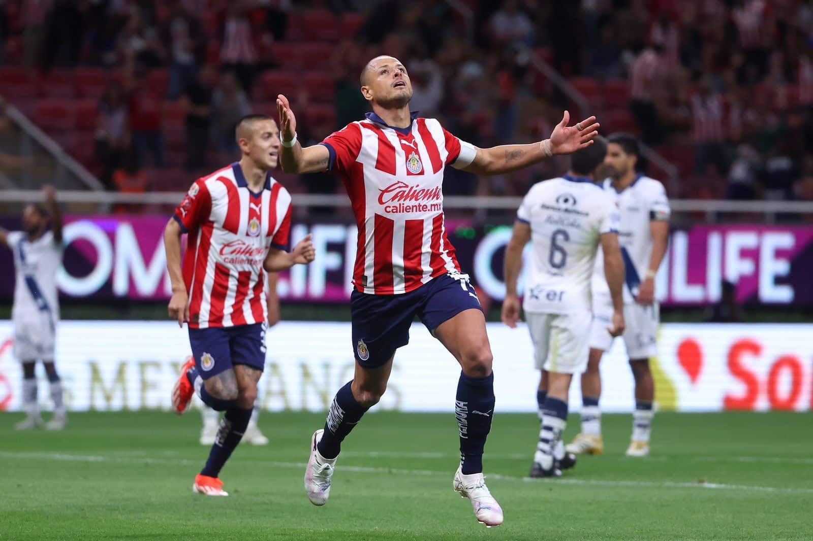 “Chicharito” Hernández