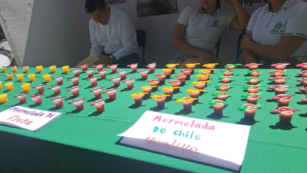 Muestra de ofertas educativas del Cobaes en Mazatlán