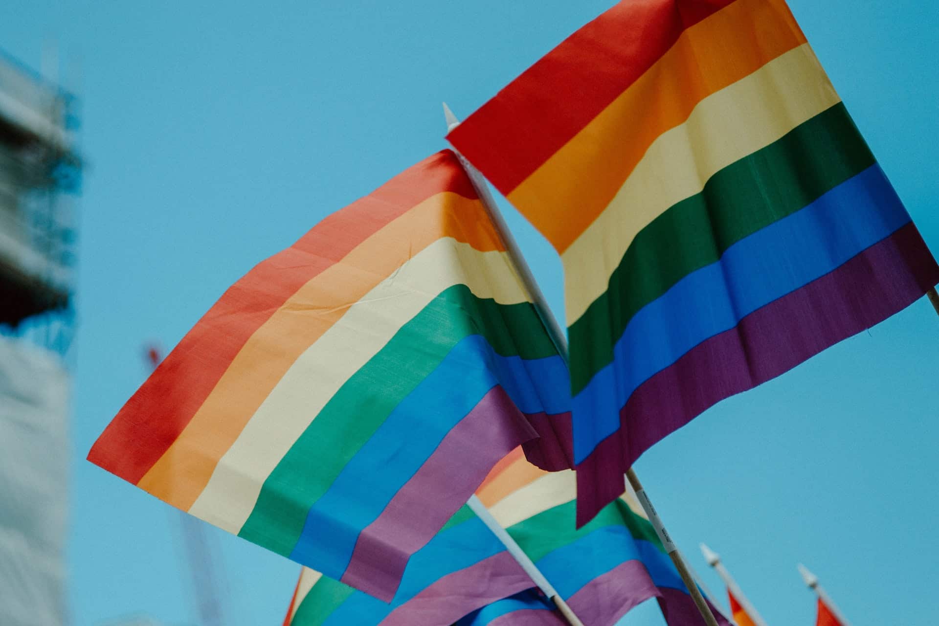 Con penas de hasta 15 años de prisión, aprueba Irak ley para criminalizar homosexualidad