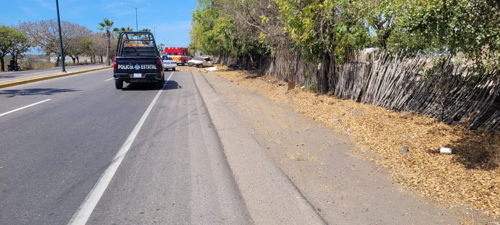 Paramédicos de Bomberos de Elota y elementos de protección civil auxilian a persona accidentada.