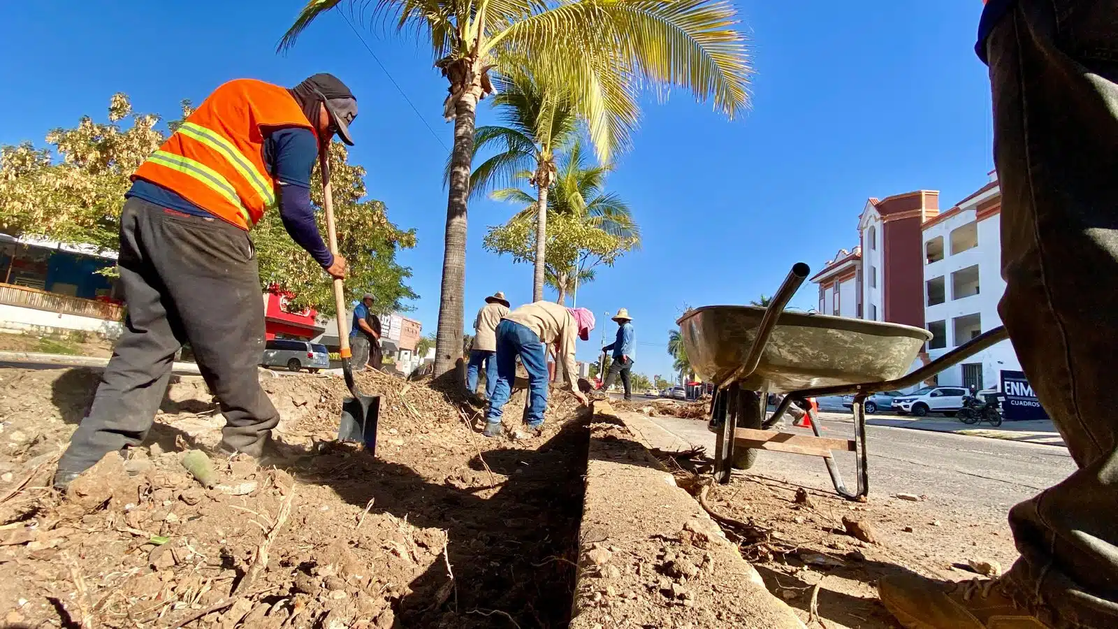 Embellecen accesos y avenidas de Mazatlán.