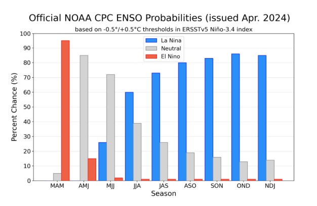 Probabilidades oficiales del ENSO para el índice de temperaturas de superficie oceánicas del Niño 3.4 (5°N-5°S, 120°W-170°W). Figura actualizada el 11 de abril de 2024