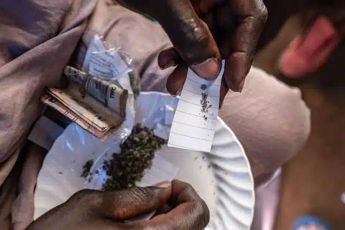 Estado de emergencia en Sierra Leona por alto consumo de la droga kush.