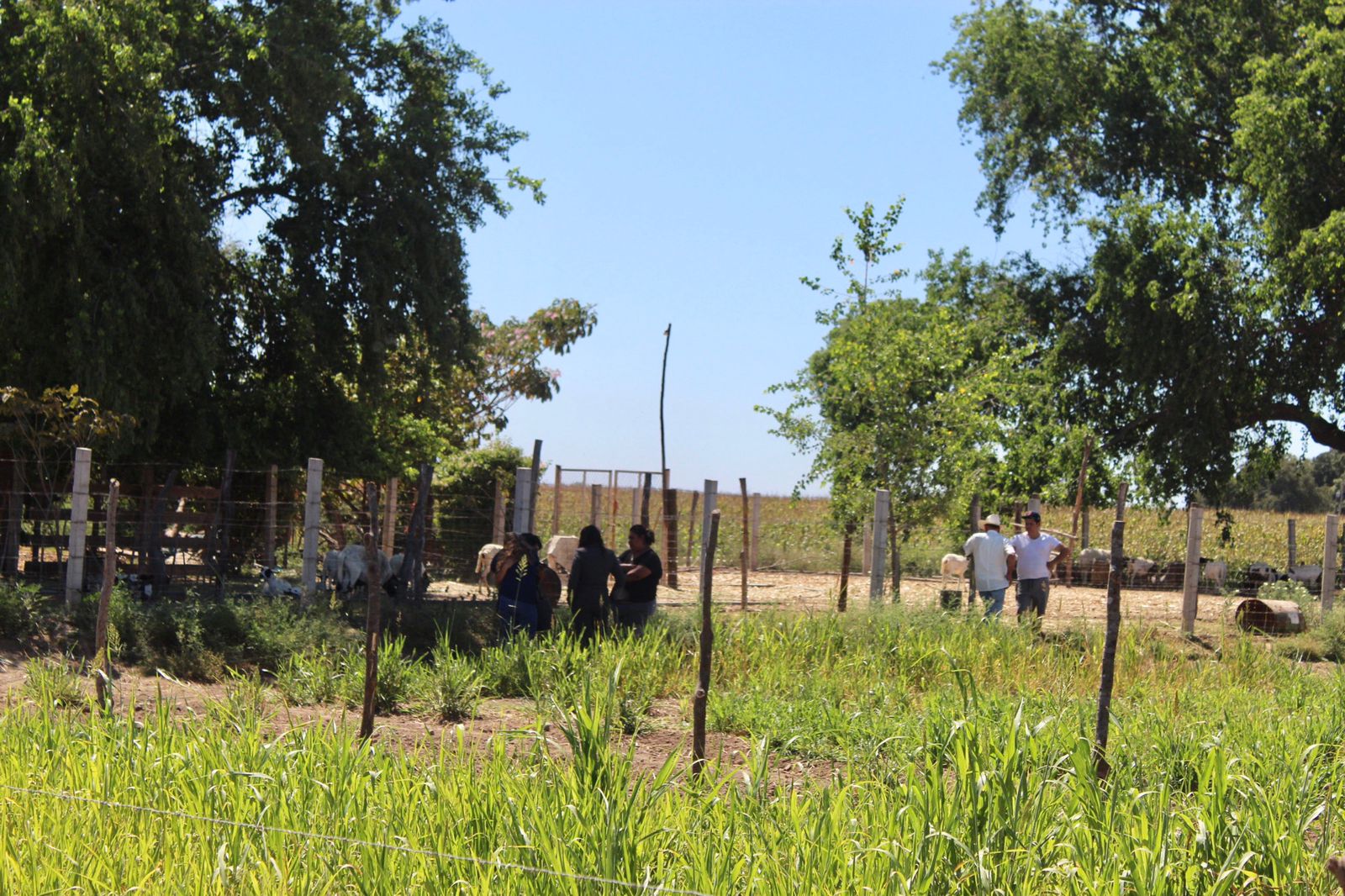 Elementos de la policía municipal en rancho de Alejandro Pimentel, lugar donde fue encontrado sin vida.