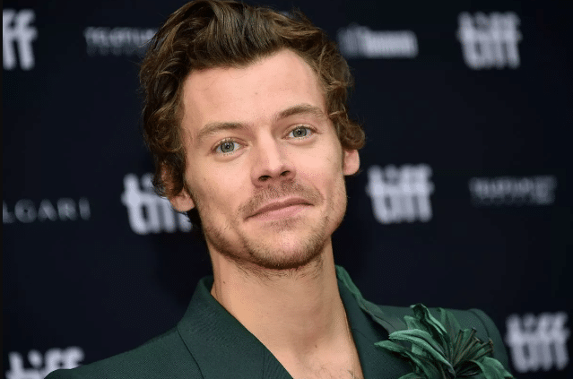 Fan es sentenciada a prisión por acosara Harry Styles