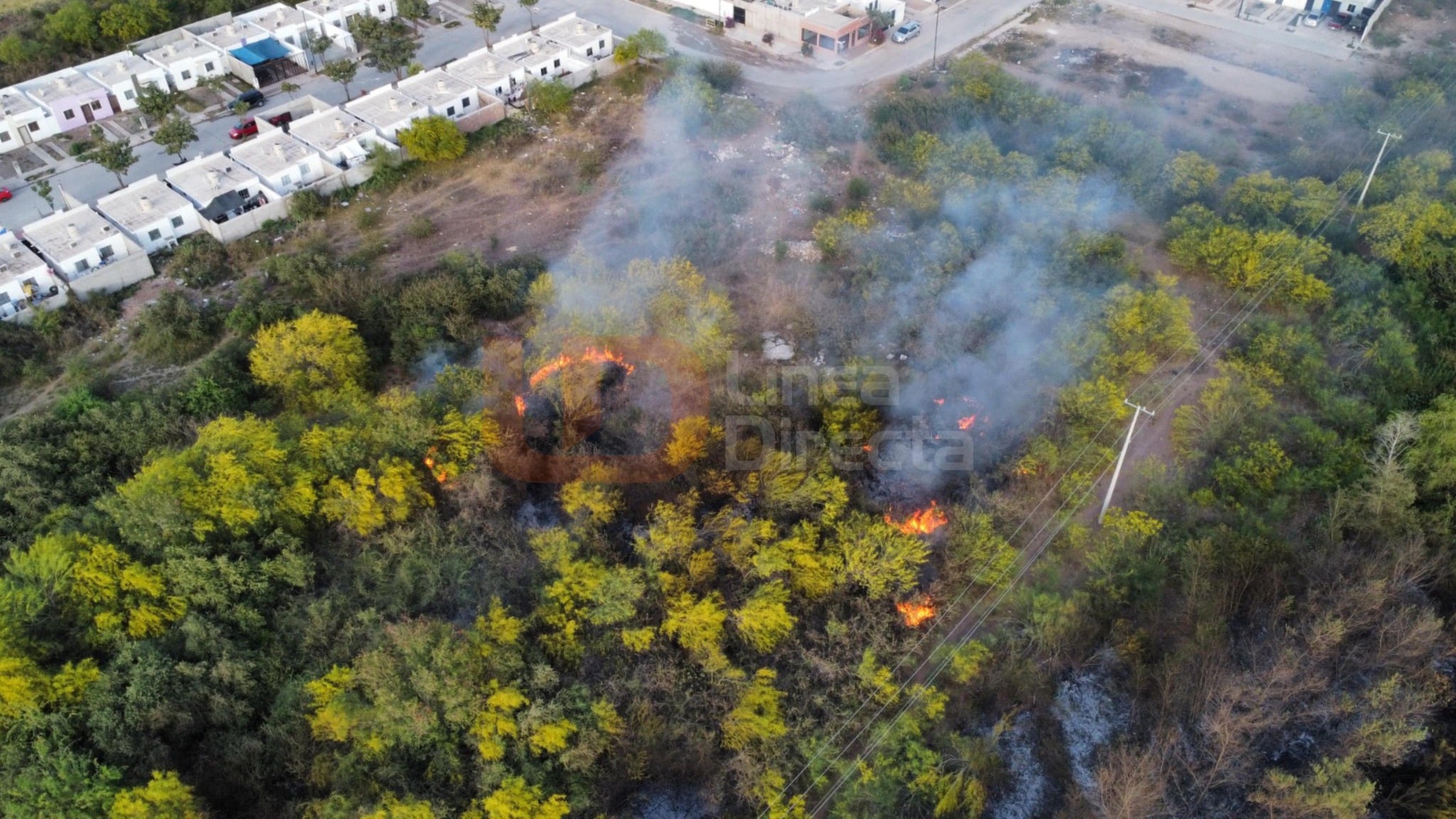 Vegetación incendiándose. Se observa fuego y humo