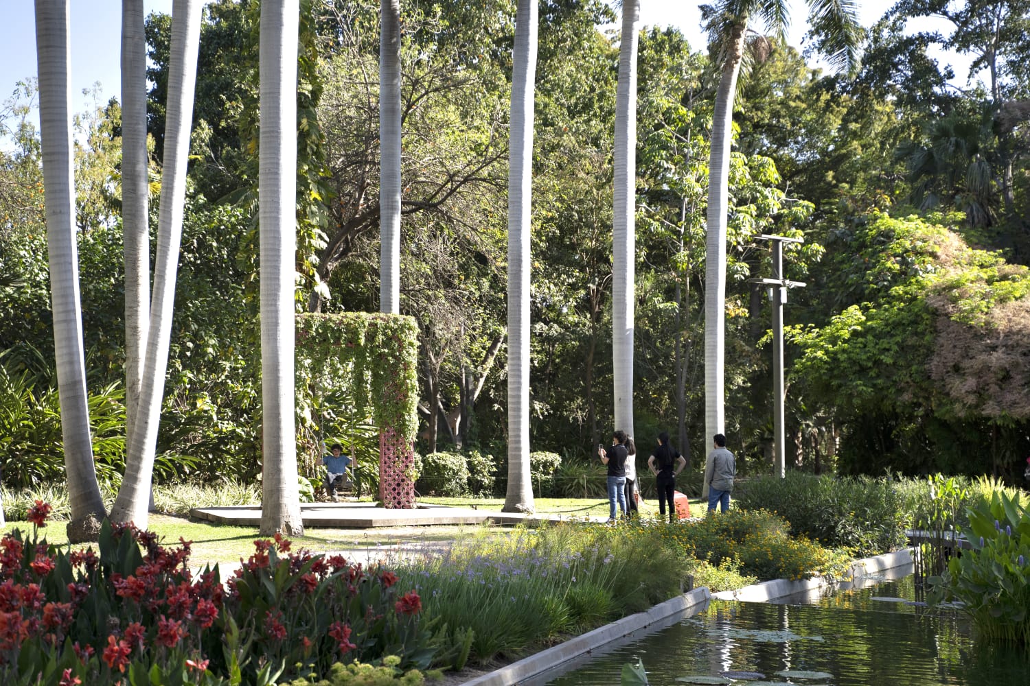 Espacio en el Jardín Botánico Culiacán