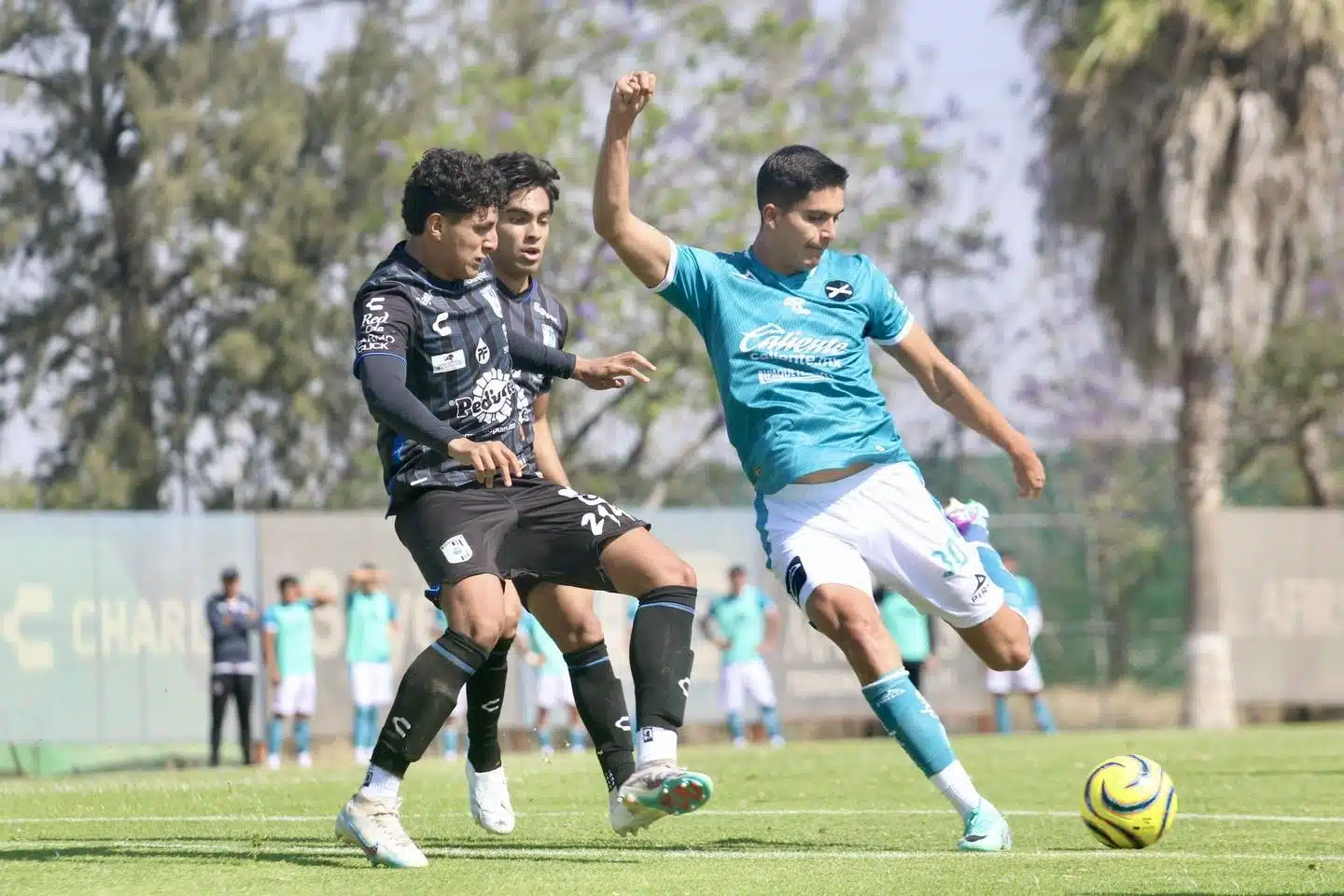 La Liguilla Mazatlán FC