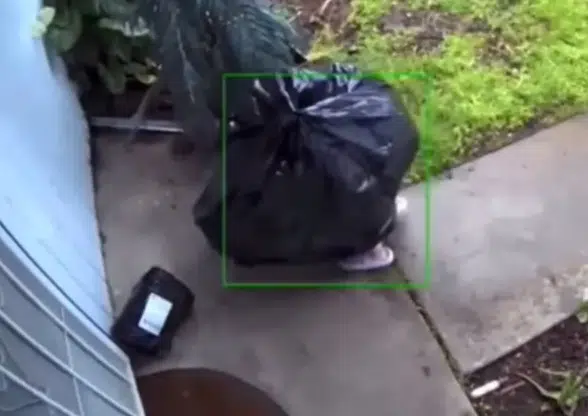 Ladrón se disfraza de bolsa de basura para robar paquete en EU