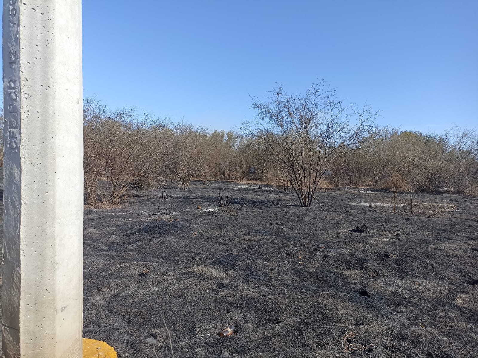 Zona incendiada