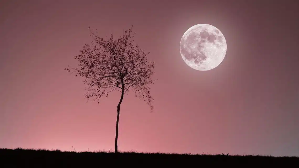 Imagen representativa de la luna rosa
