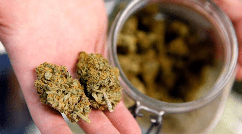 EU busca reclñasificar la marihuana como una droga de bajo riesgo