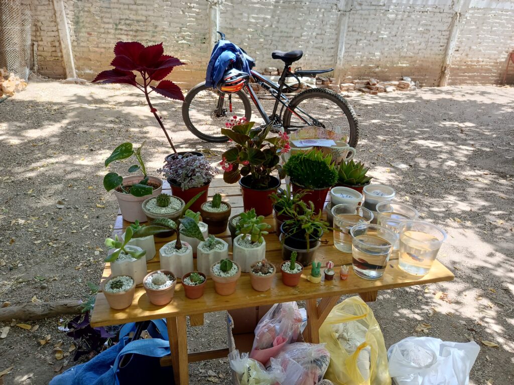 Festival del Día la Madre Tierra