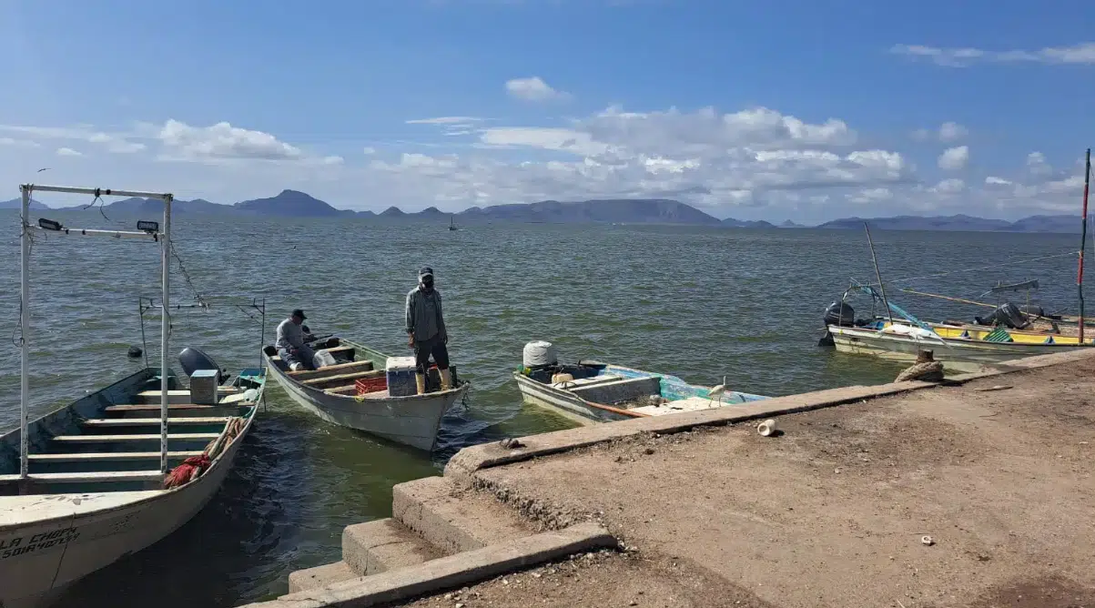 Pescadores en Escuinapa capturan botete y robalo