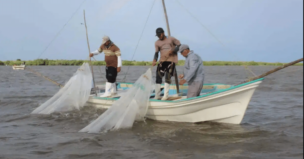 Pescadores en labores