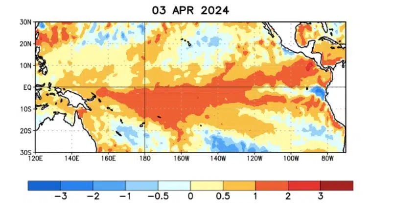 Anomalías (°C) promedio de la temperatura de la superficie del océano (SST, por sus siglas en inglés) para la semana centrada el 3 de abril de 2024. Las anomalías son calculadas utilizando como referencia los periodos promedio semanales de 1991-2020