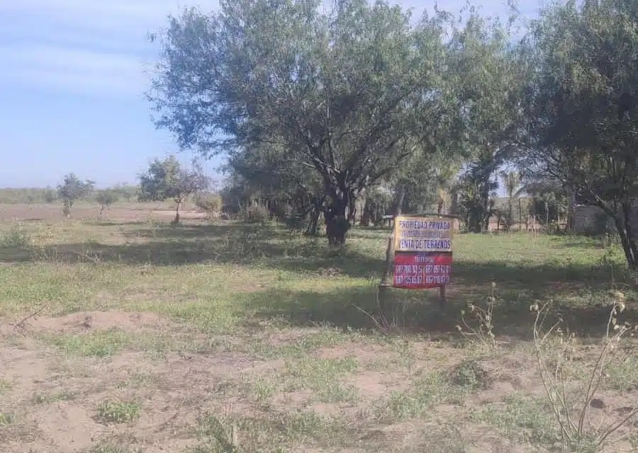 Alcalde de Guasave buscará conciliación en caso de El Pitahayal