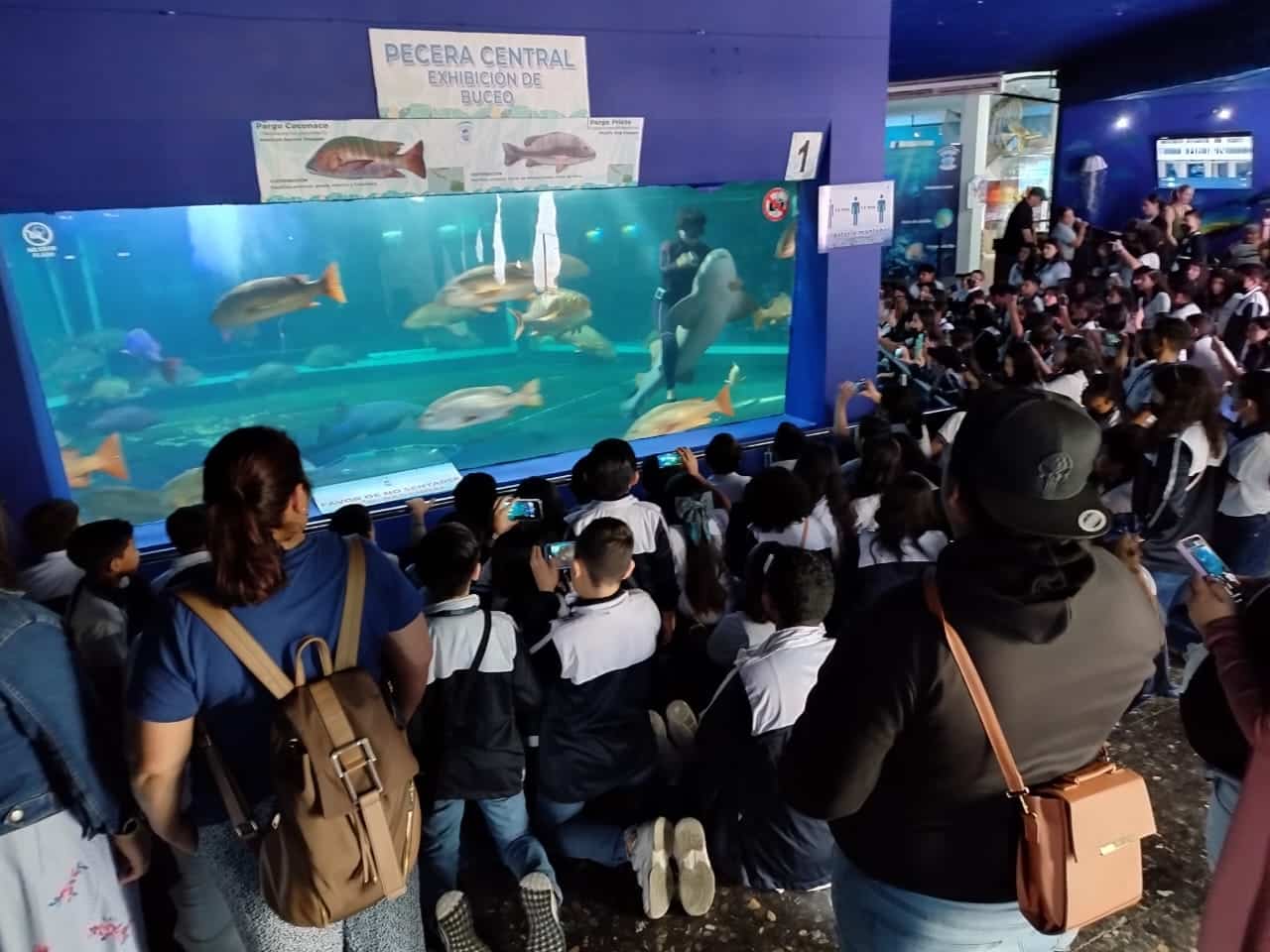 Asistentes al Acuario Mazatlán