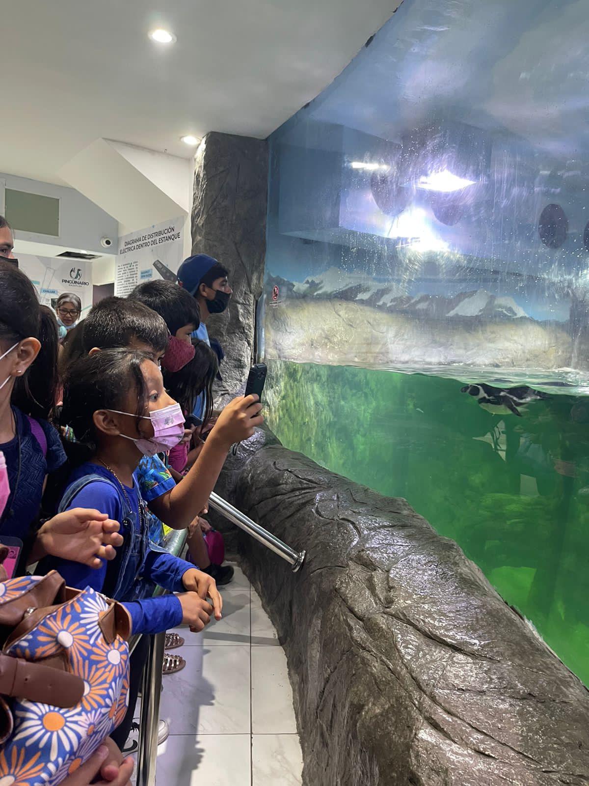 Asistentes al Acuario Mazatlán