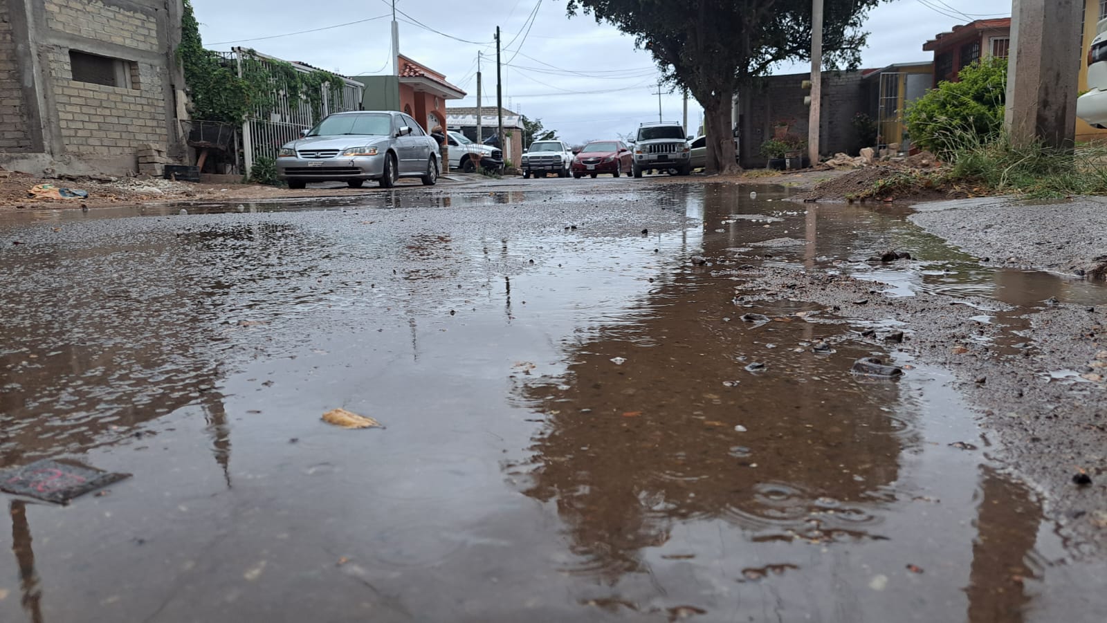 Charcos de agua por lloviznas en fraccionamiento