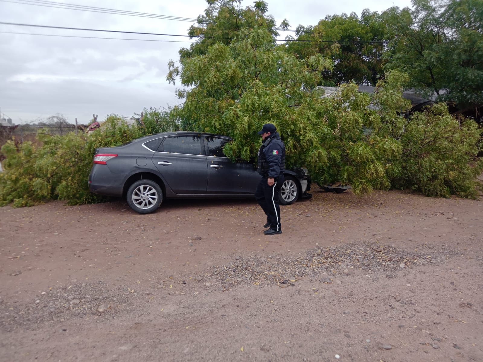 Accidente Angoistura de boxeador