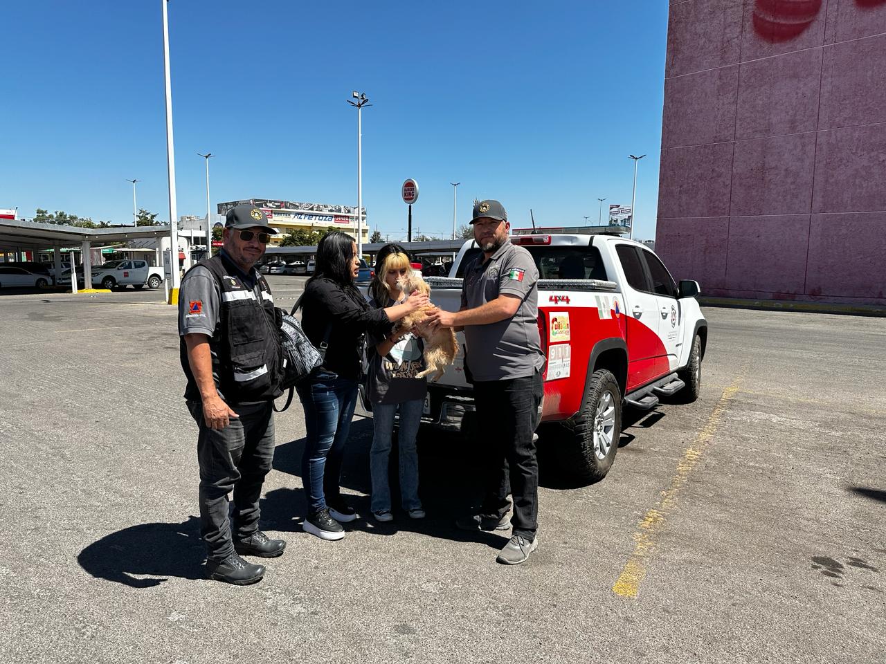 Personas con perro en la mano
