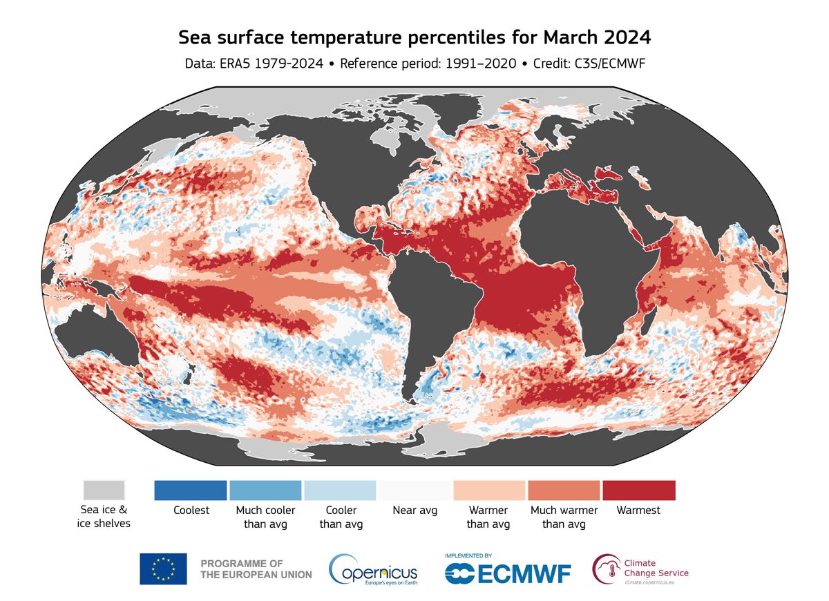 Gráfica del clima