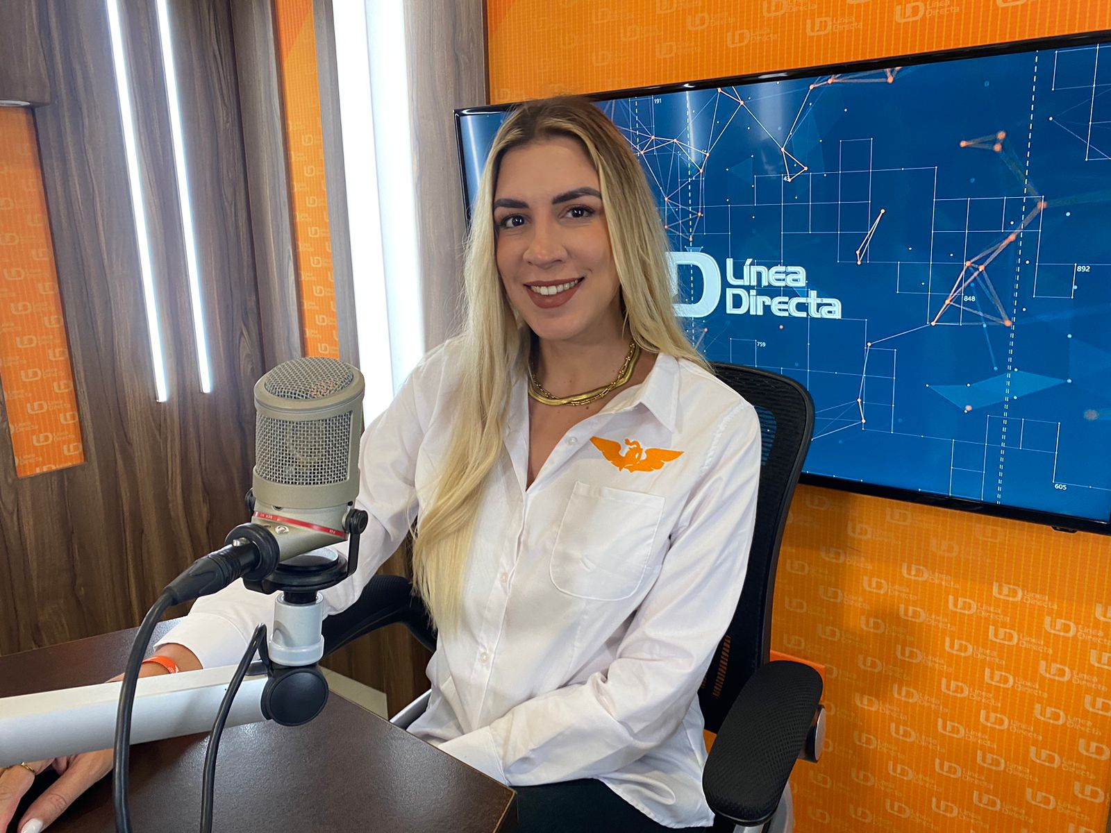 Candidata a diputada distrito 2